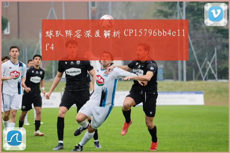 球队阵容深度解析 CP15796bb4e11f4